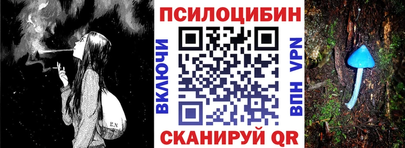 мориарти клад  Сортавала  Галлюциногенные грибы Magic Shrooms  дарнет шоп 